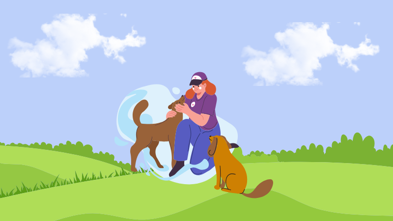 Perro de servicio y soporte emocional certificado